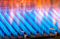 Nant Alyn gas fired boilers